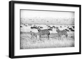 Stripes-Mark Bridger-Framed Giclee Print