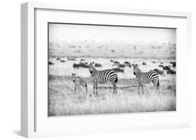 Stripes-Mark Bridger-Framed Giclee Print