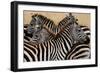 Stripes-Martin Fowkes-Framed Giclee Print