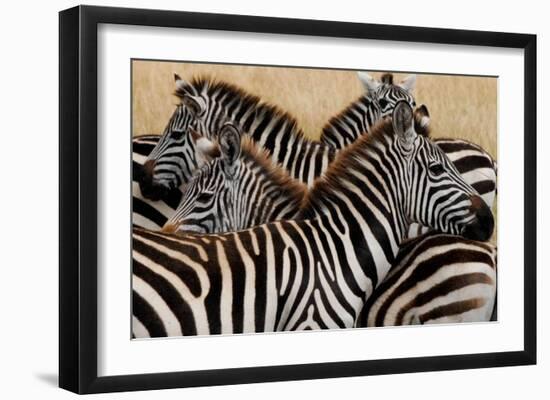 Stripes-Martin Fowkes-Framed Giclee Print