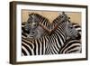 Stripes-Martin Fowkes-Framed Giclee Print