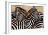 Stripes-Martin Fowkes-Framed Giclee Print