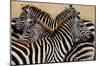 Stripes-Martin Fowkes-Mounted Giclee Print