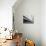 Stripes-Josh Adamski-Stretched Canvas displayed on a wall