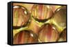 Stripey Bubbles-Carrie Webster-Framed Stretched Canvas