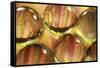 Stripey Bubbles-Carrie Webster-Framed Stretched Canvas