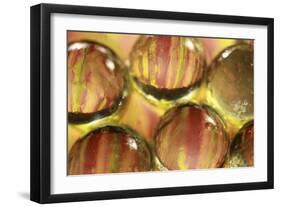 Stripey Bubbles-Carrie Webster-Framed Photographic Print