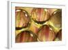 Stripey Bubbles-Carrie Webster-Framed Photographic Print