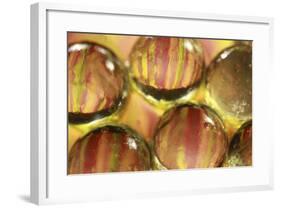 Stripey Bubbles-Carrie Webster-Framed Photographic Print