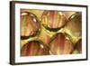 Stripey Bubbles-Carrie Webster-Framed Photographic Print