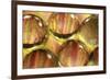 Stripey Bubbles-Carrie Webster-Framed Photographic Print