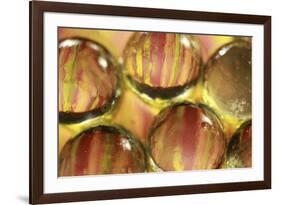 Stripey Bubbles-Carrie Webster-Framed Photographic Print