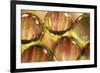 Stripey Bubbles-Carrie Webster-Framed Photographic Print