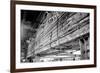 Stripped Bare-Evan Morris Cohen-Framed Photographic Print