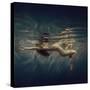 Strips-Dmitry Laudin-Stretched Canvas