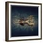 Strips-Dmitry Laudin-Framed Photographic Print