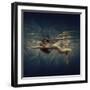 Strips-Dmitry Laudin-Framed Photographic Print