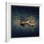 Strips-Dmitry Laudin-Framed Photographic Print