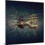 Strips-Dmitry Laudin-Mounted Photographic Print