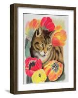 Stripy and Tulip-Anne Robinson-Framed Giclee Print