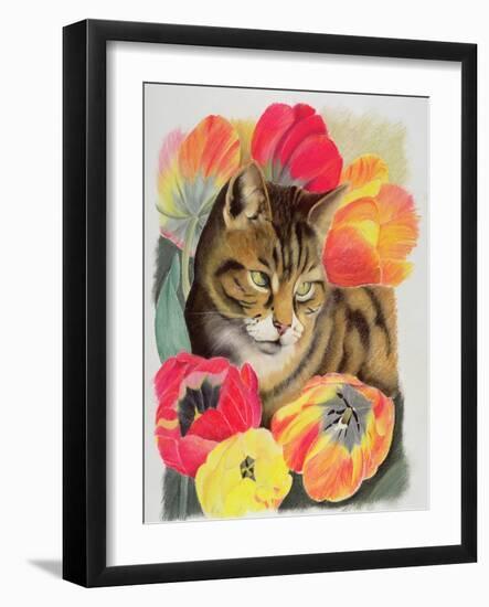 Stripy and Tulip-Anne Robinson-Framed Giclee Print