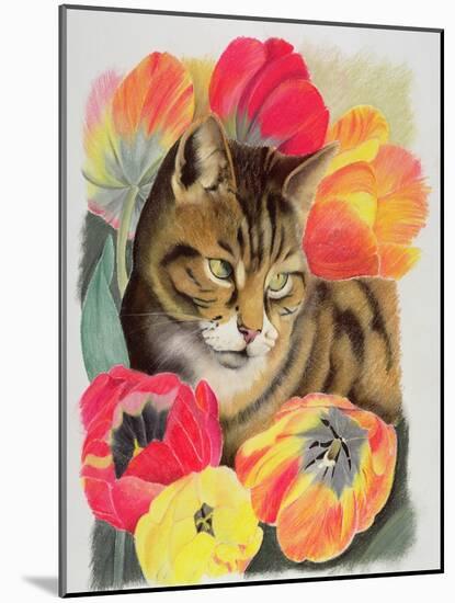 Stripy and Tulip-Anne Robinson-Mounted Giclee Print