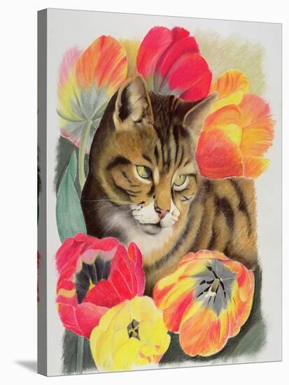 Stripy and Tulip-Anne Robinson-Stretched Canvas