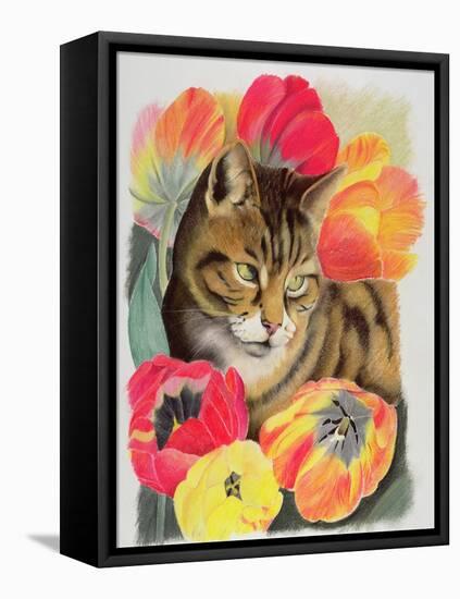 Stripy and Tulip-Anne Robinson-Framed Stretched Canvas