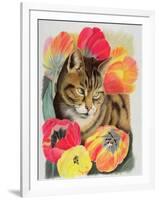 Stripy and Tulip-Anne Robinson-Framed Giclee Print