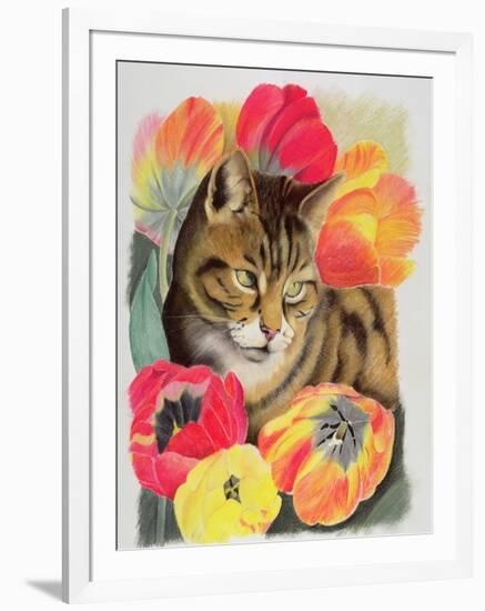 Stripy and Tulip-Anne Robinson-Framed Giclee Print