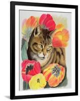 Stripy and Tulip-Anne Robinson-Framed Giclee Print