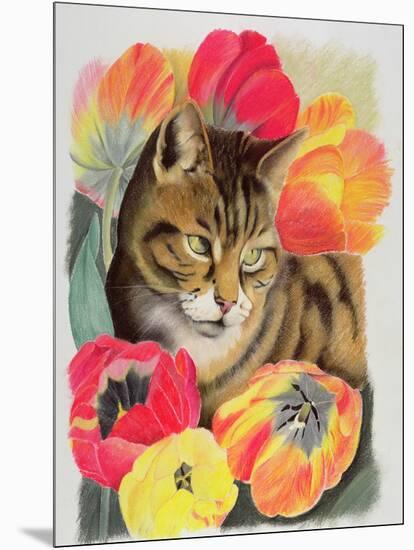 Stripy and Tulip-Anne Robinson-Mounted Giclee Print