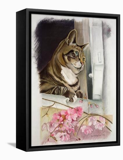 Stripy at the Window-Anne Robinson-Framed Stretched Canvas