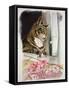 Stripy at the Window-Anne Robinson-Framed Stretched Canvas