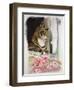 Stripy at the Window-Anne Robinson-Framed Giclee Print