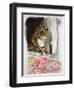 Stripy at the Window-Anne Robinson-Framed Giclee Print