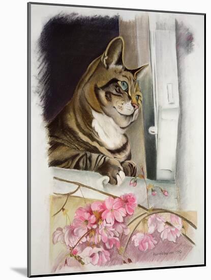 Stripy at the Window-Anne Robinson-Mounted Giclee Print