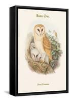 Strix Flammea - Barn Owl-John Gould-Framed Stretched Canvas