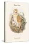 Strix Flammea - Barn Owl-John Gould-Stretched Canvas