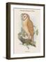 Strix Indica - Indian Screech Owl-John Gould-Framed Art Print