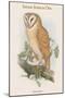 Strix Indica - Indian Screech Owl-John Gould-Mounted Art Print