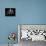 Stroboscopic Image of Juggler Stan Cavenaugh Juggling Tenpins-Gjon Mili-Stretched Canvas displayed on a wall