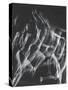 Stroboscopic Image of Nude Model Leaping Through Space-Gjon Mili-Stretched Canvas
