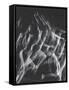 Stroboscopic Image of Nude Model Leaping Through Space-Gjon Mili-Framed Stretched Canvas