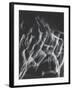 Stroboscopic Image of Nude Model Leaping Through Space-Gjon Mili-Framed Photographic Print