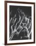 Stroboscopic Image of Nude Model Leaping Through Space-Gjon Mili-Framed Photographic Print