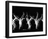 Stroboscopic Image of Tumbling Sequence Performed by Danish Men's Gymnastics Team-Gjon Mili-Framed Photographic Print