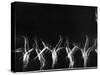 Stroboscopic Image of Tumbling Sequence Performed by Danish Men's Gymnastics Team-Gjon Mili-Stretched Canvas