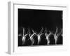 Stroboscopic Image of Tumbling Sequence Performed by Danish Men's Gymnastics Team-Gjon Mili-Framed Photographic Print