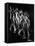 Stroboscopic Study of a Nude Descending Staircase-Gjon Mili-Framed Stretched Canvas